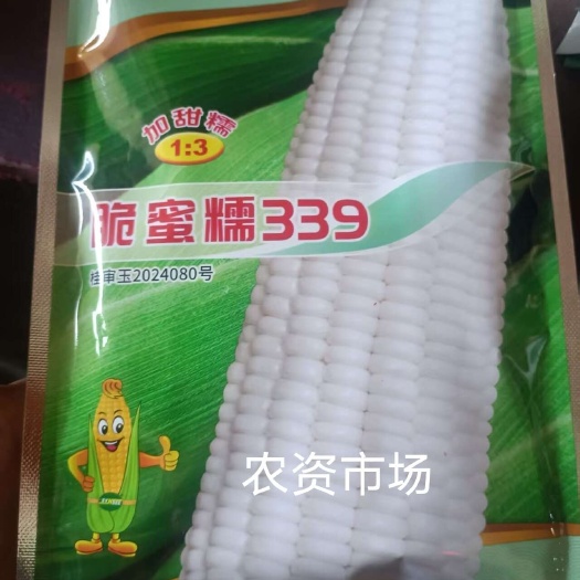 华容县先迪农业脆蜜糯339甜糯谷玉米种子  甜糯  好吃 玉米种子