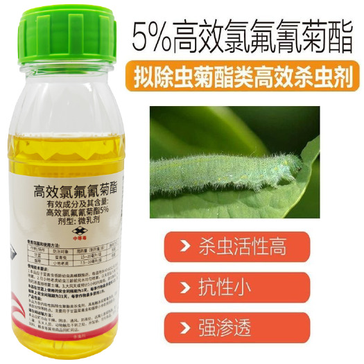 安远县5%高效氯氟氰菊酯杀虫剂菜青虫小地老虎专杀