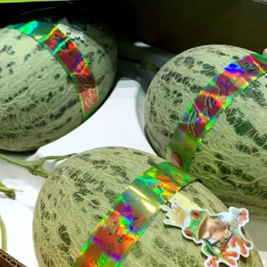 青蛙王子瓜