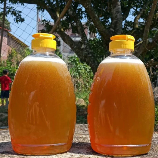 高州市蜂蜜正品天然纯蜜农家自产成熟封盖土蜂蜜