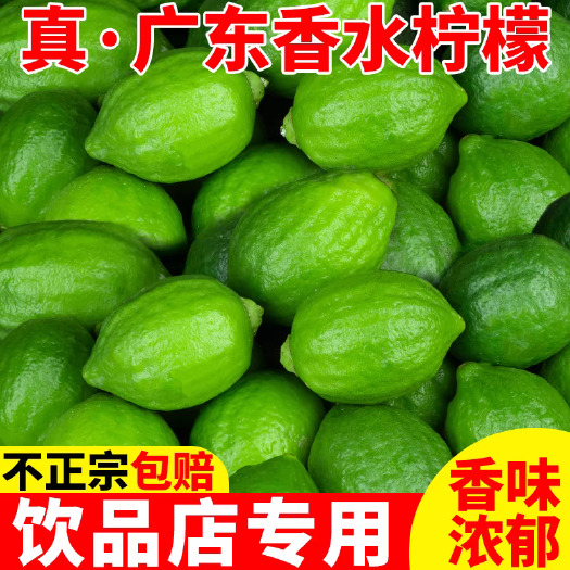 合浦县广东香水柠檬一级果新鲜现摘手打茶店专用一件代发