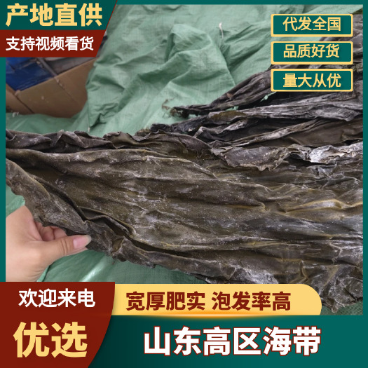 山东中期海带少杂志无碎菜干度好海菜商用批发海菜昆布泡发率高