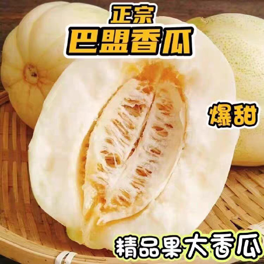 内蒙古甜瓜 乌拉特前旗直发 新鲜水果 瓜果类优选