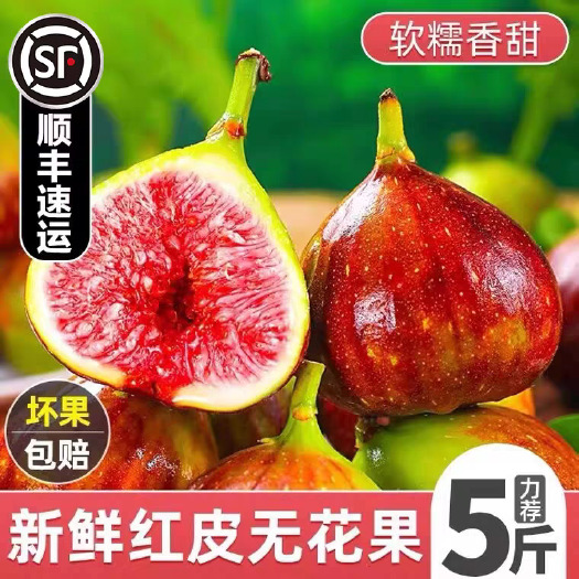 【新鲜发货】顺丰包邮四川红皮无花果精选大果新鲜现摘应当季水果