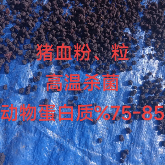 高州市猪血粉高蛋白饲料添加剂