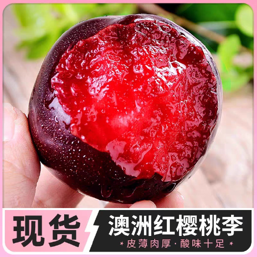 宜城市李子.澳洲红.八宝丹.五月脆口感脆甜.对接电商批发市场.出口