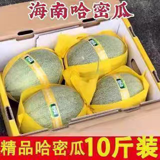 贵阳哈密瓜