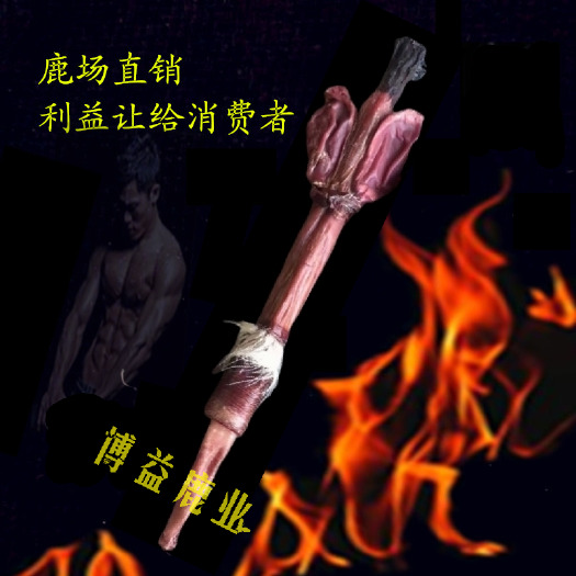长春鹿鞭干整根正品吉林梅花鹿鹿鞭泡酒专用
