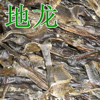 巴塘县地龙