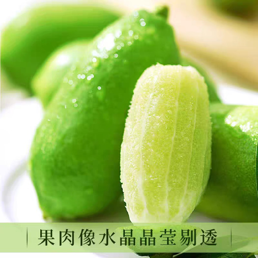 北流市香水柠檬