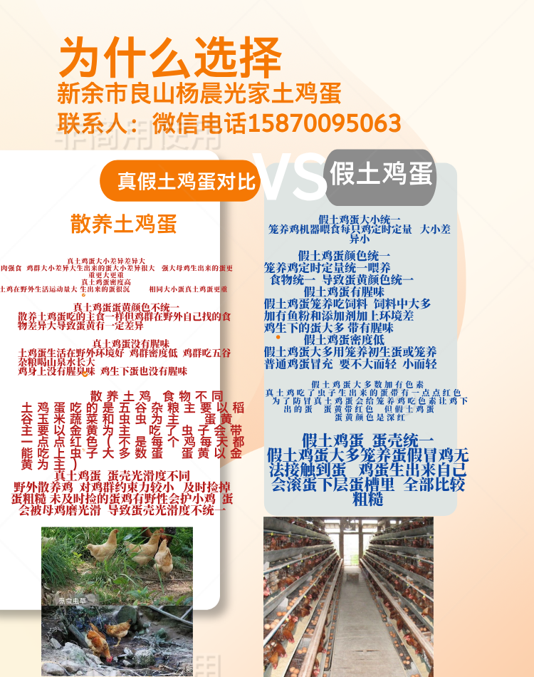 土鸡蛋  山上放养  吃五谷杂粮长大  黄心  没有色素