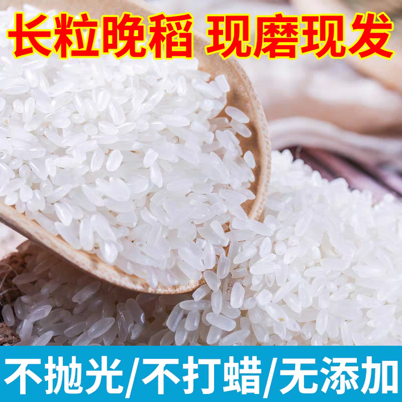 长粒香新鲜大米长粒香大米10斤20斤一袋东北黑龙江晚稻一级批