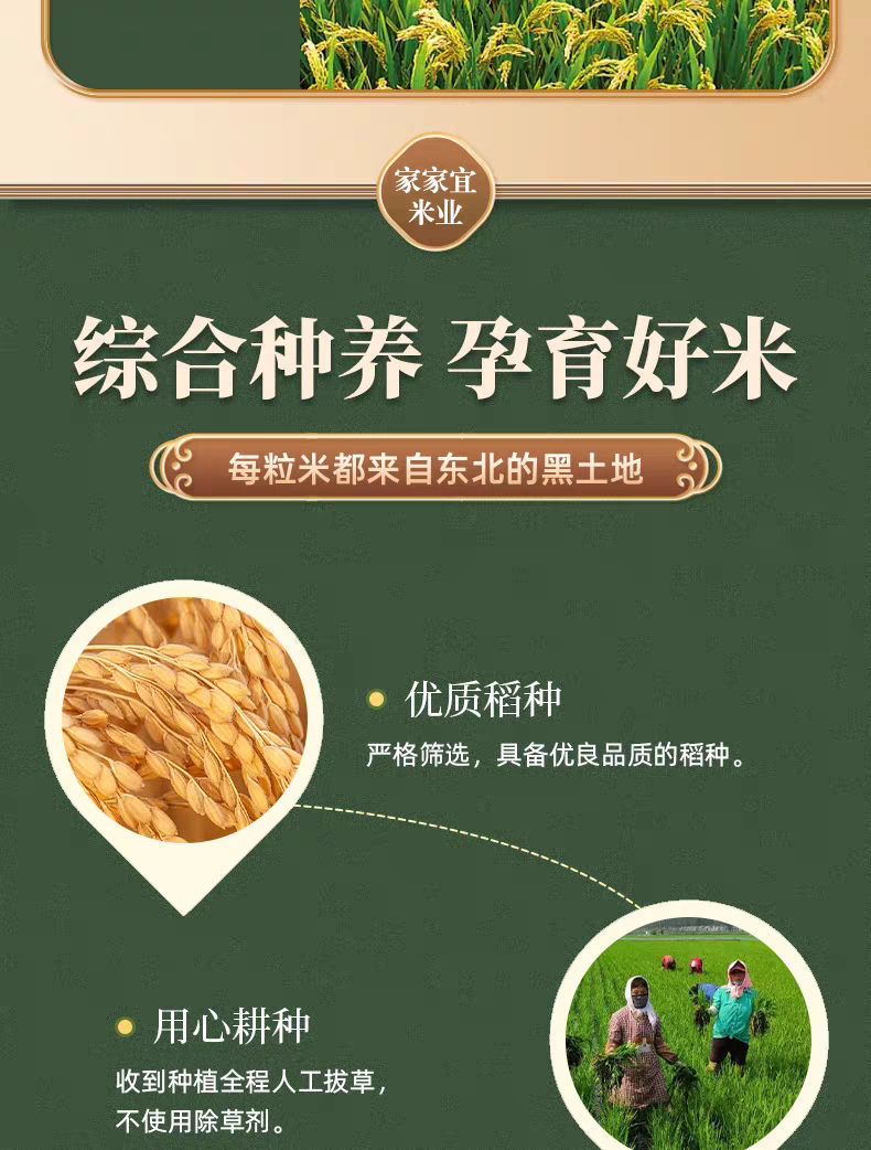 长粒香新鲜大米长粒香大米10斤20斤一袋东北黑龙江晚稻一级批