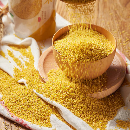 山东沂蒙优质小米黄小米农家新米月子餐米油天然五谷杂粮