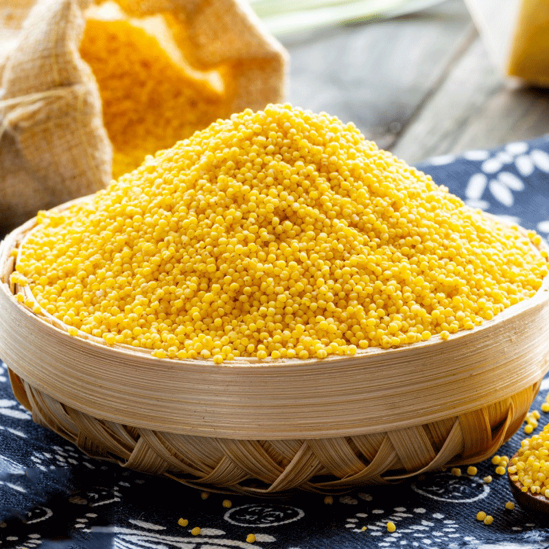 山东沂蒙优质小米黄小米农家新米月子餐米油天然五谷杂粮