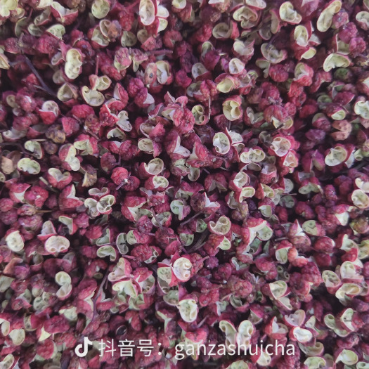 文县陇南文县大红袍花椒