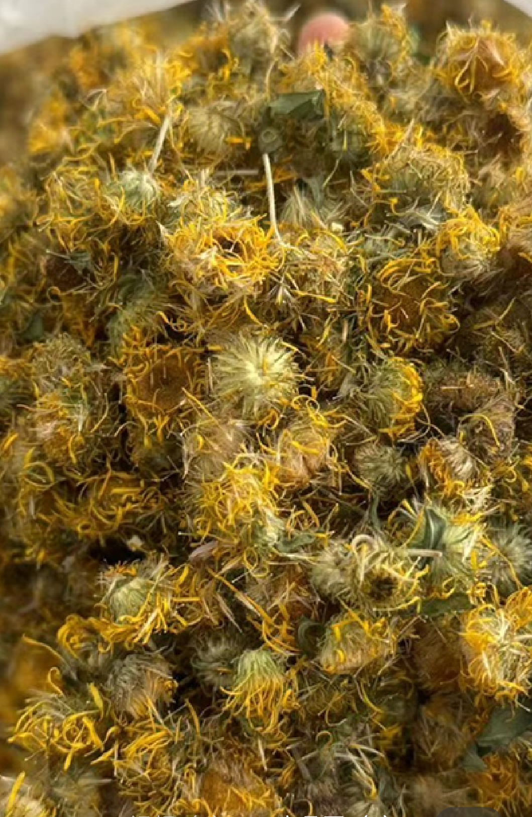 旋覆花 中药材花类优质货源
