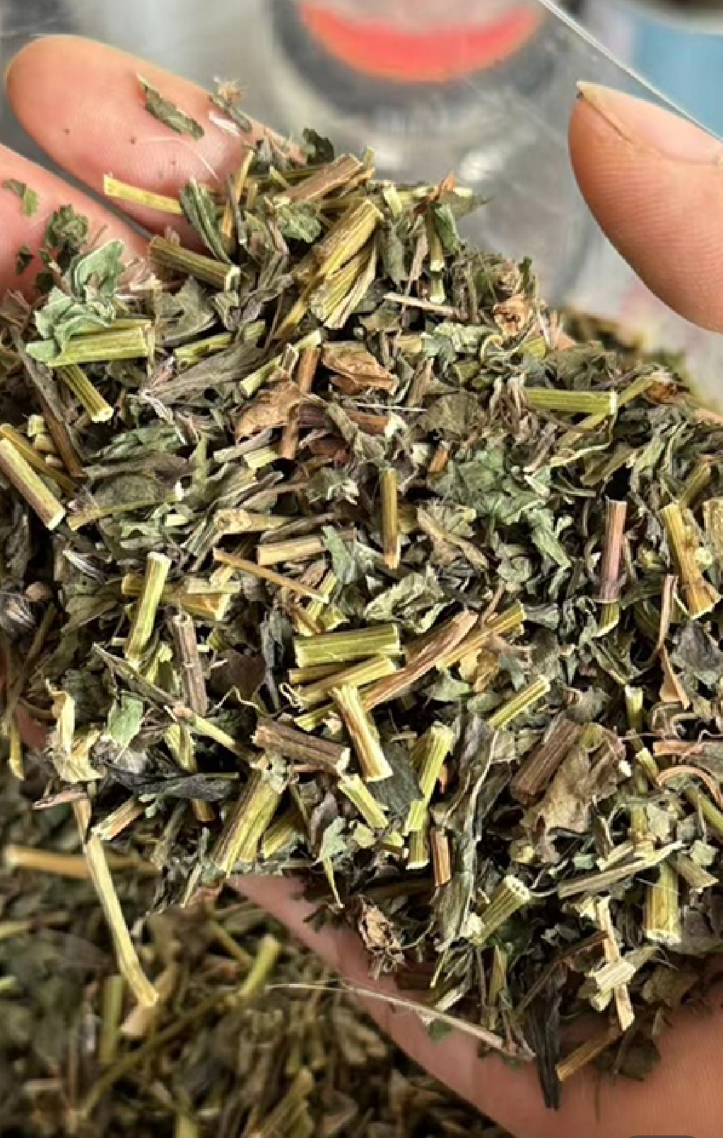 佩兰 中药材全草类优质货源各种中草药材批发