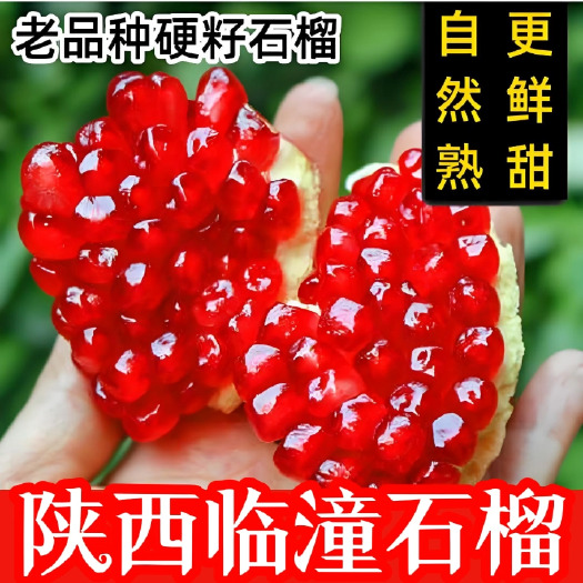 陕西特产临潼石榴甜石榴新鲜水果水晶石榴果农直发