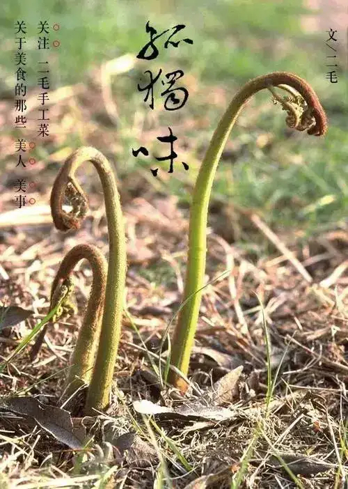 都匀市贵州山货