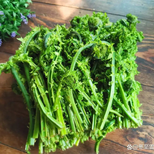 天然无污染山野菜，健康食品