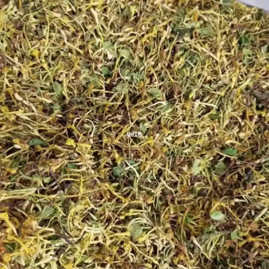 新化县金银花 山银花 鲜干银花