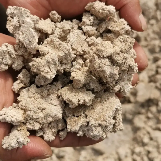  糟渣类饲料