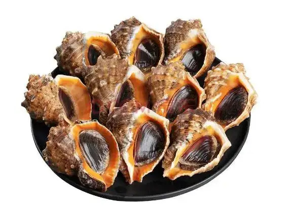 成都海螺