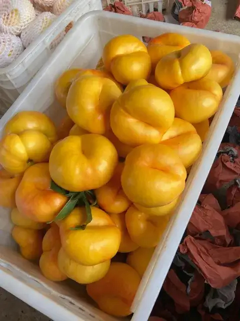 绥中县蟠桃的一种     蟠味帝