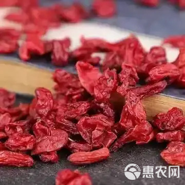 山茱萸肉 按需包装 各种规格 可打粉   纯干 实物图片