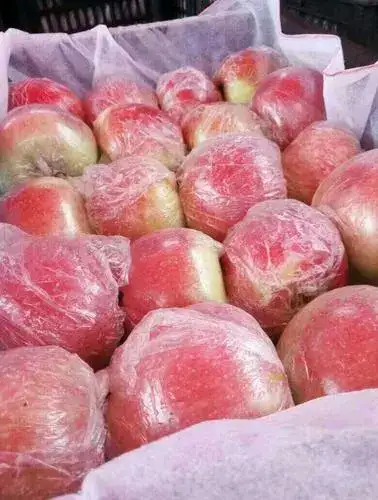 冰糖心美八苹果  红露苹果大量上市了