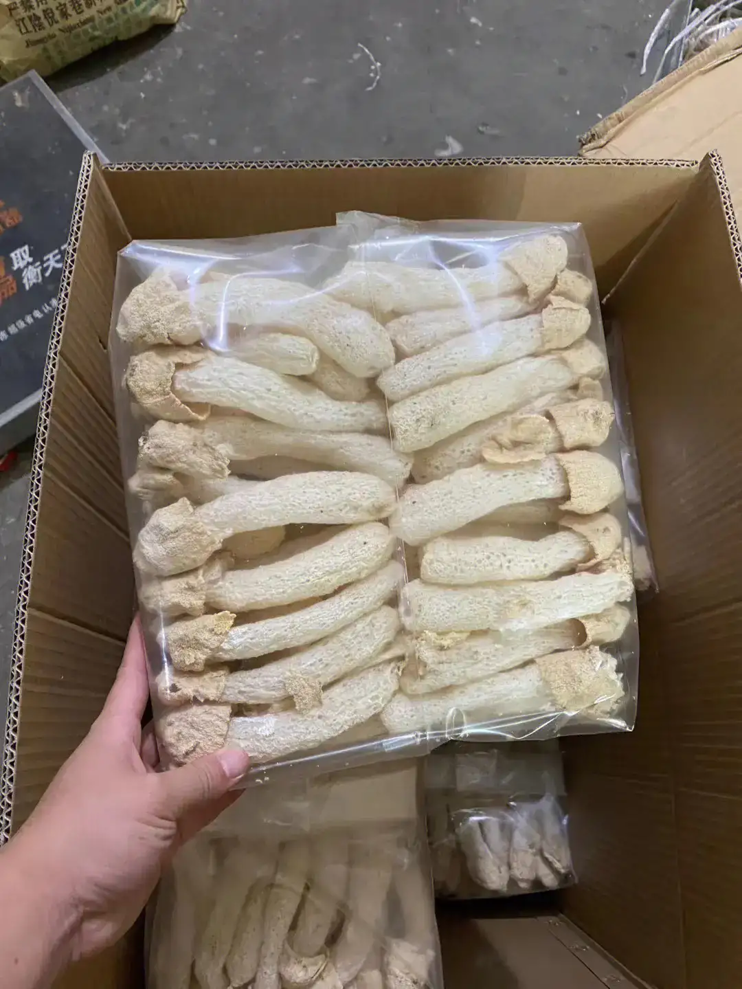 竹荪蛋竹荪杆竹荪帽竹荪球红托竹荪