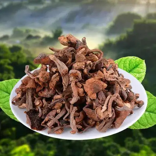 集贤县干榛蘑