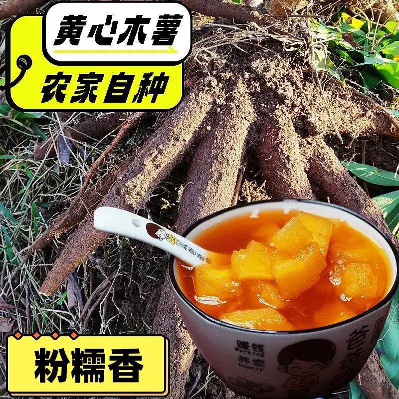 广西黄肉木薯粉糯香甜糖水店同款