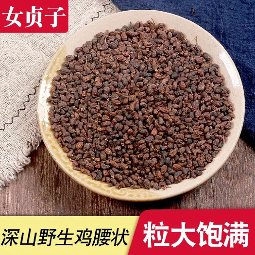 女贞子 中草药