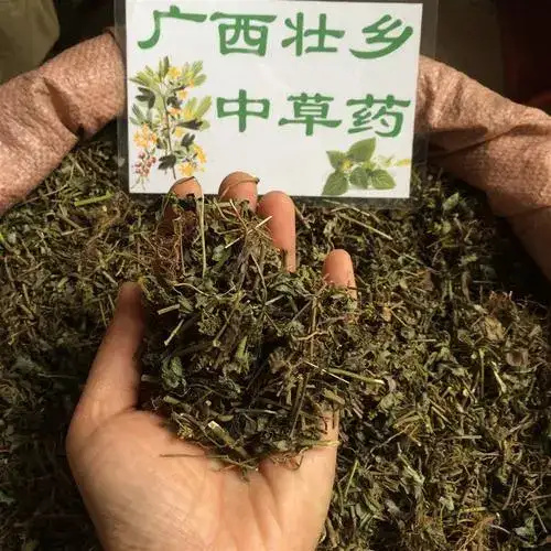 崇左中药飞扬草