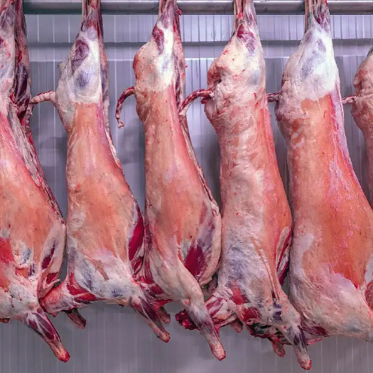 兴和县羊肉