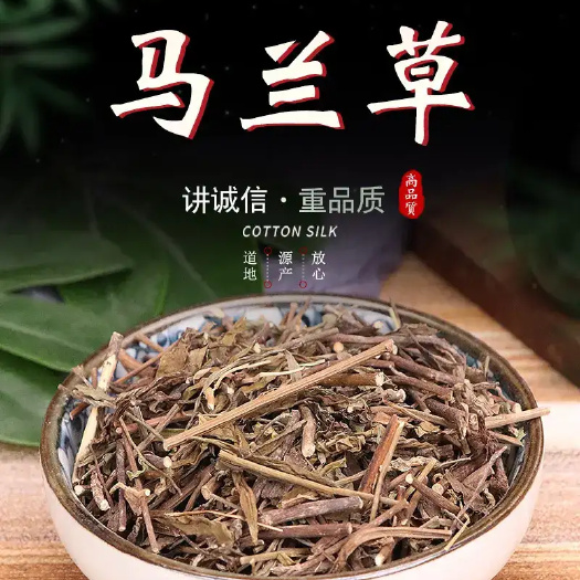 马兰草 中药材 马兰草 路边菊 鱼鳅串 田边菊包邮