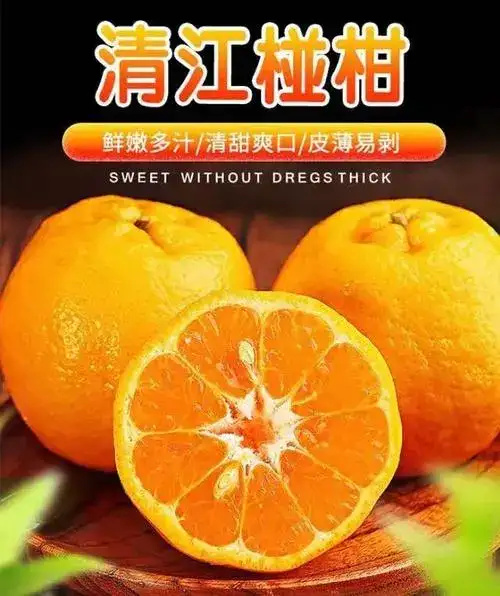 长阳县湖北宜昌清江椪柑果形端正色泽鲜艳香甜可口好吃不上火