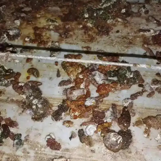 博罗县新鲜鸡粪。量大。找个每天都能处理十吨以上的老板