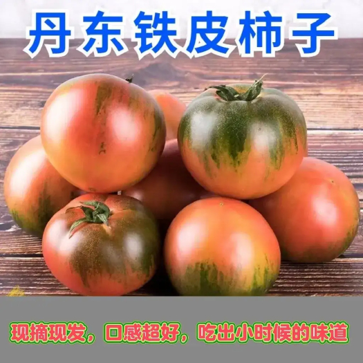 东港市丹东碱地铁皮草莓柿子