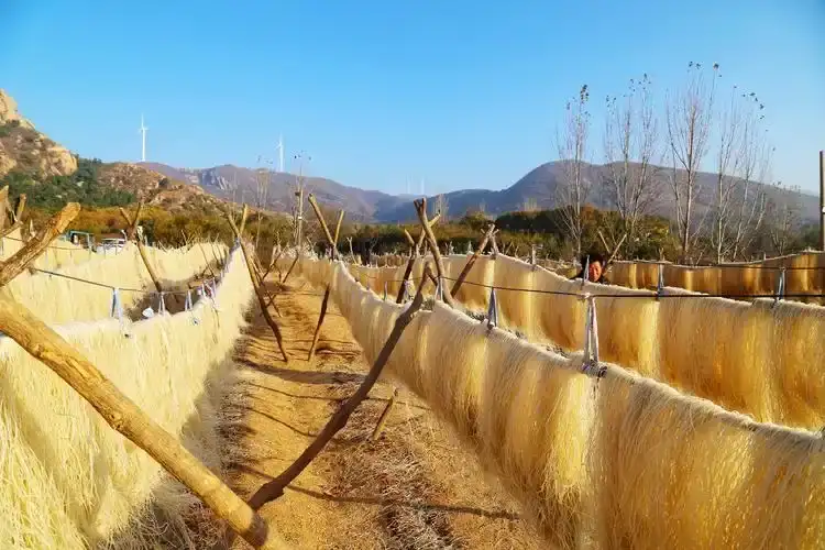 红薯粉条