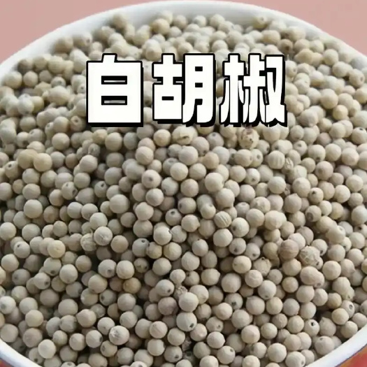 东莞市海南白胡椒(手选)无黑点，颗粒饱满