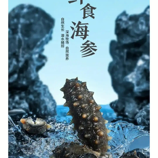 成都即食辽参