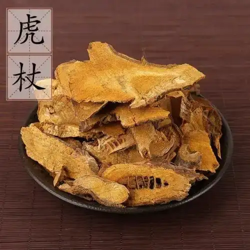 虎杖 安徽亳州谯城区发货 品质优渥 农家种植 符合药典标准