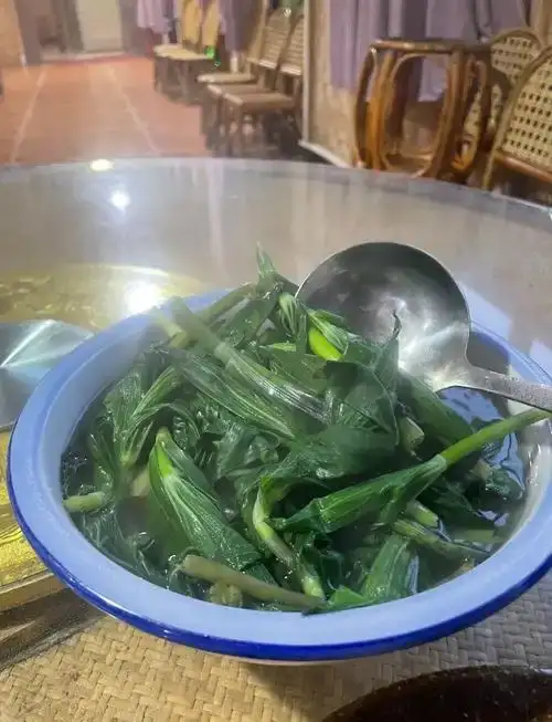 云南怒江新鮮空心菜生態(tài)種植現(xiàn)摘現(xiàn)發(fā)