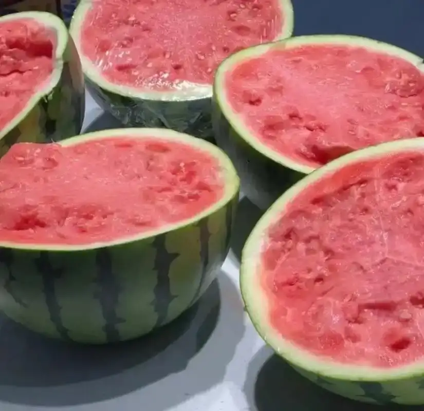 【推荐】河南夏邑美都麒麟西瓜，质量保证，产地推荐一手货源