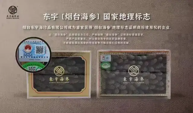 烟台牟平优质海参干 农副水产加工精品