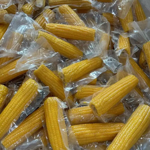 哈尔滨东北糯玉米源头工厂，支持一件代发，黄黑白糯各个规格都有