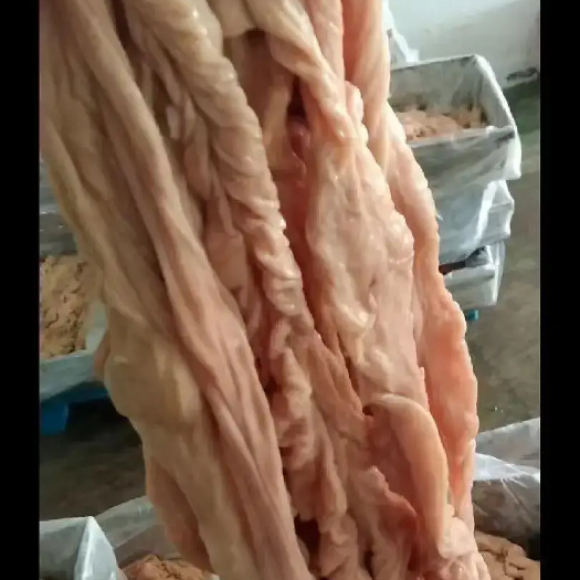 东莞市肥肠，猪大肠